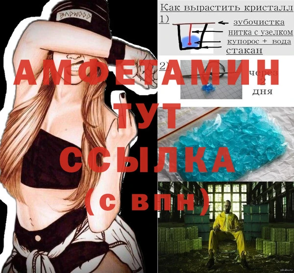 стаф Алзамай