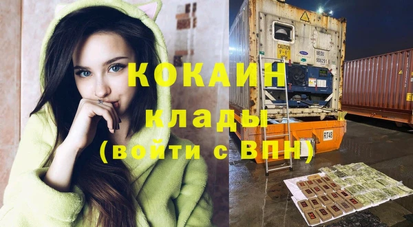 стаф Алзамай
