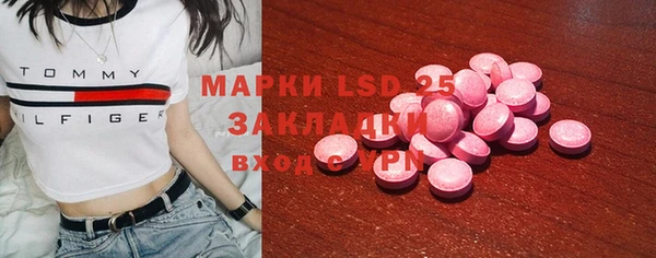 стаф Алзамай